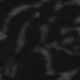 Negro-269