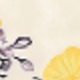 彩色