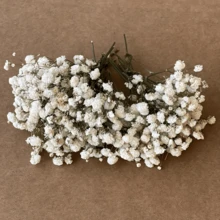 100/50pcs Mini Breathable Artificial Flowers, Realistic Baby's Breath And Other White And Pearl White Artificial Flowers - For Wedding Welcome Area, Dried Flowers, Boutonniere, Wedding Decoration, Invitation Envelope Decoration, DIY Crafts, Gifts - Multicolor - View 7