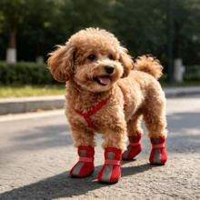 Zapatos para perro pequeño de malla suave color rojo talla L, adecuados para caminar y correr al aire libre en pavimento caliente de verano, botas antideslizantes y protección para las patas - Multicolor - Ver 9