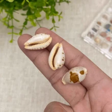 1pc Precious Seashell | Random Color And Pattern - Suitable For Replacing Small Hermit Crab Shells, Decorating Fish Tank And Aquarium Micro-Landscapes, DIY Seashell Jewelry Pendants And Niche Holiday Gifts - Random Pattern - View 7
