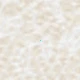 متعدد الألوان