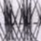 Long, Thin Eyelashes