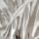 Silver 2