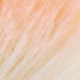 彩色