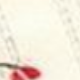 紅白色