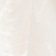 彩色