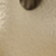 卡其色