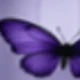 Aneka warna 1