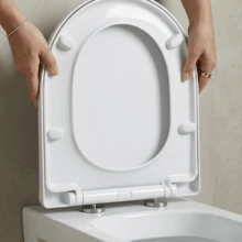D Shape Quick Release Toilet Seat Soft Close - D-shape - View 3