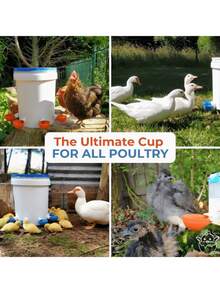 5 buah Mangkuk Air Ayam, Tempat Minum Unggas Otomatis, Dispenser Air Ayam, Cangkir Air Ayam, Cocok untuk Bebek, Kalkun, Kelinci, Angsa, Peternakan Otomatis, Air Mancur dan Tempat Minum Unggas Plastik - A - View 9