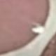 彩色