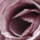 彩色