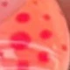 彩色