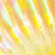 Yellow Seashell