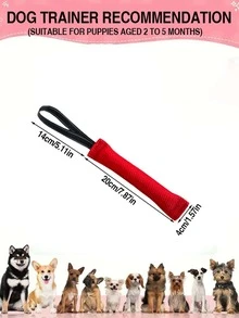 狗狗玩具－狗狗咀嚼玩具。這款耐用的拉繩玩具適合小型到中型犬，可用於訓練牠們的咀嚼能力、拉扯技巧和障礙訓練。這款耐用的寵物咀嚼玩具有助於鍛鍊狗狗的下顎。非常適合拉布拉多、德國牧羊犬、哈士奇以及許多其他犬種。適合室內和室外玩耍。此玩具也可用於牽繩訓練、服從訓練和幼犬訓練。 - 彩色 - 查看 12