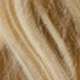 Blonde Highlight