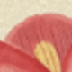 彩色