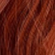 Burnt Orange
