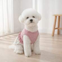 1pc Pet Skirt Applique Floral Dress, Adorable Princess Style For Small And Medium Dogs, Suitable For Spring Summer And Autumn - Pink - View 3