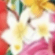 Type B