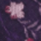 多色-2