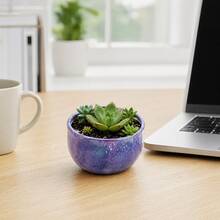 6Pcs Starry Sky Printed Metal Mini Plant Pots With Lids, Multifunctional Small Planters For Succulents & Tiny Plants, Great For DIY Candle Making, Desktop Decor, Party Favors & Small Trinket Storage - Marble Pattern - View 5