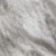 Gato gris