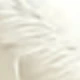 White Rabbit's Tail Grass