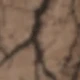 Dark Khaki