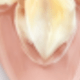 彩色