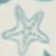 Sea Turtles and Starfish