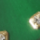 金色