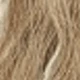 Brown Ombre