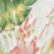 彩色