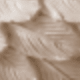 1PC