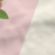 彩色