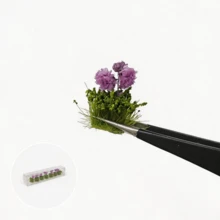 7件/盒 微縮人造花卉/仿真草 手作材料 花簇 微景觀模型場景 DIY 建築沙盤 - as photo - 查看 7