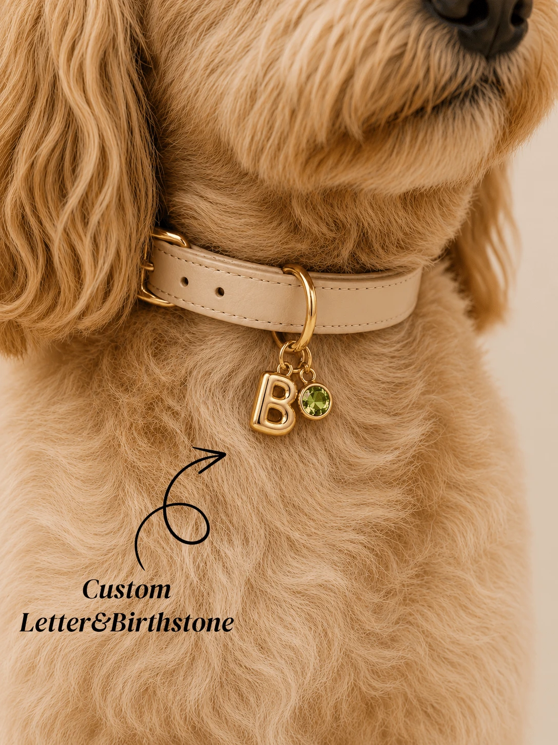 Customized Dog Collar Pendant, Personalized Pet Initial Pendant, Gold Birthstone Collar Pendant, Dog Name Letter Pendant, Gift For Dog Mom