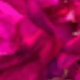 Red 1