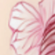 Coral Pink