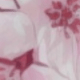 彩色