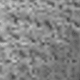 الأسود