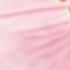 Pink Shell - Pink Lily