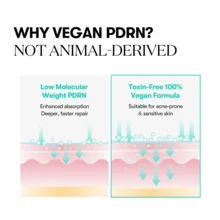 VT Cosmetics - كريم كبسولة PDRN 100 50ML - كريم PDRN - PDRN - مشاهدة 4