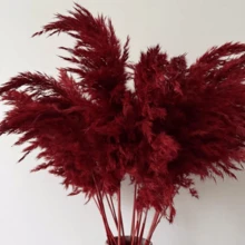 10pcs/Box Artificial Cattail Grass Decor, Fake Pampas Grass Feather Bouquet, Pink Cattail Dried Flowers, Suitable For Boho Style Room Floral Decor, Wedding Vase Bedroom Floor Decor, Artificial Plants, Birthday Anniversary Gift, DIY Wreath Decor, Party Event Backdrop, Flower Shop Materials - Red - View 7