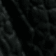 الأسود