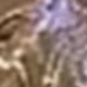 Type C