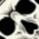 Skeleton