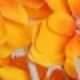 橘色
